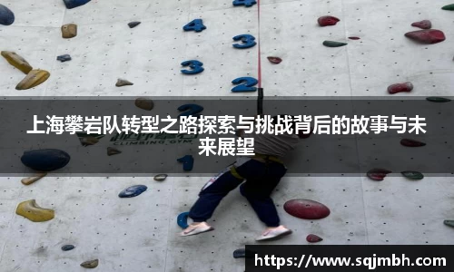上海攀岩队转型之路探索与挑战背后的故事与未来展望